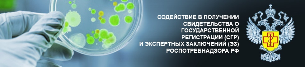 Содействие в получении государственной регистрации